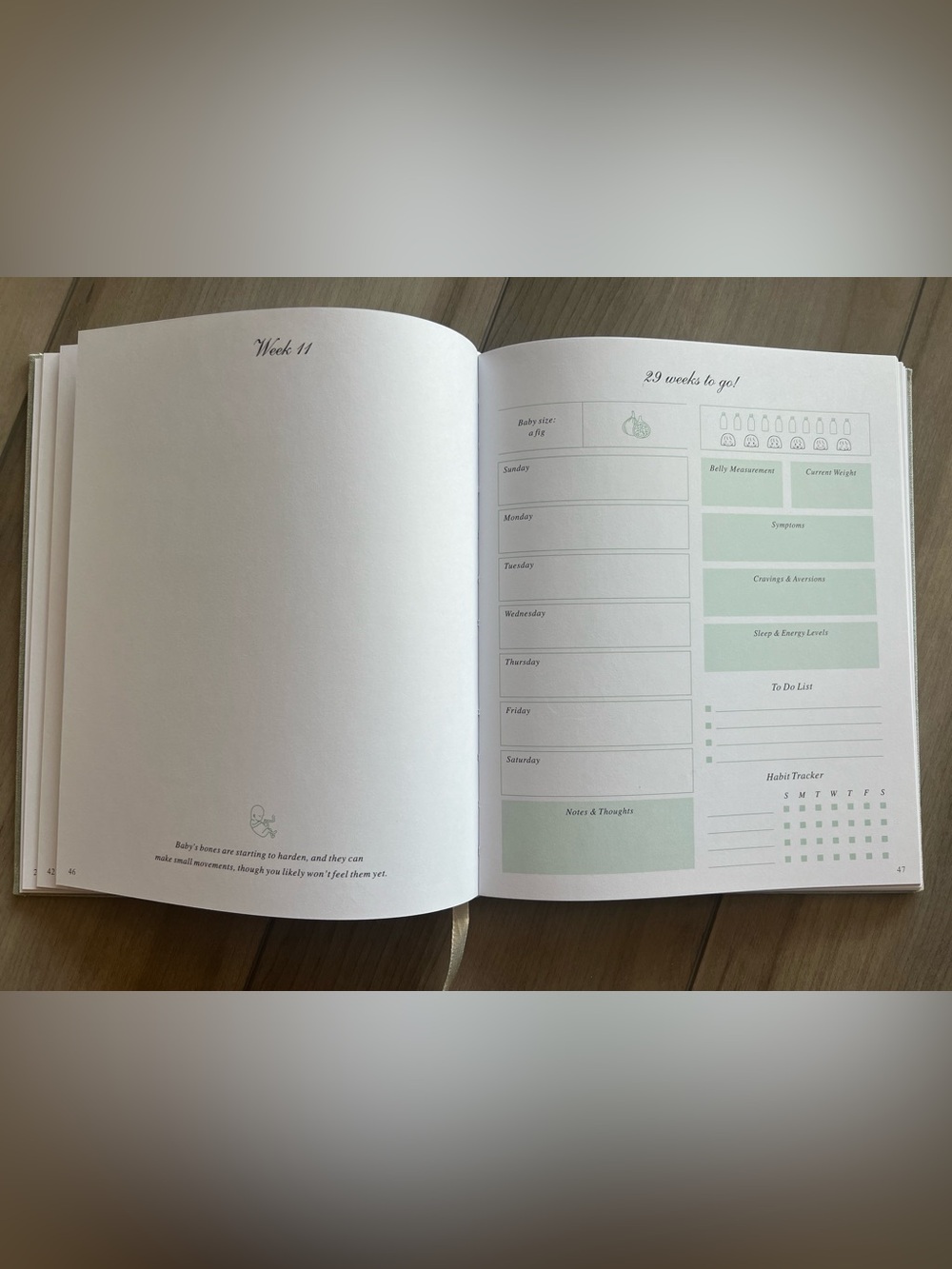 THE PREGNANCY JOURNAL | Planner and Memory Organizer ๐ฃ - Picture 7 of 10